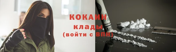 мдпв Сафоново